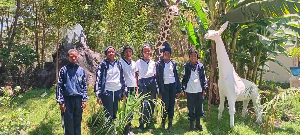 Mobirise Website Builder